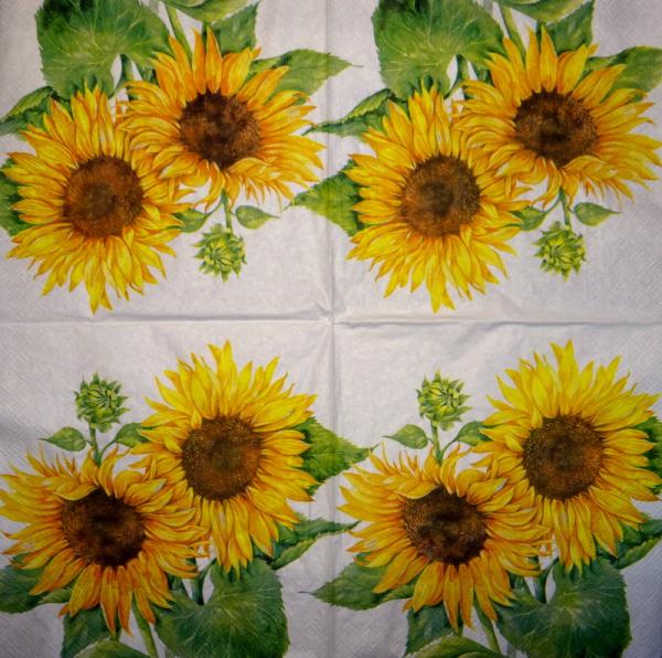 002 Sonnenblumen - 3 lagig - CS